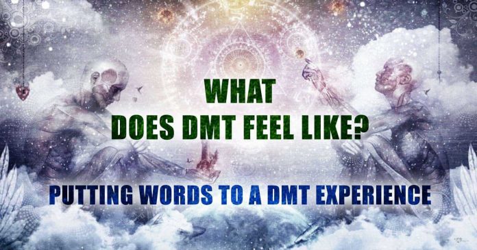 DMT Experience