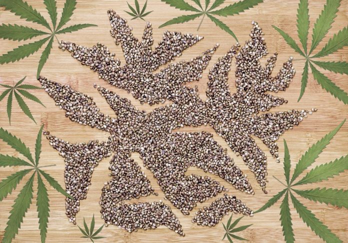 Health Benefits of Hemp Seeds