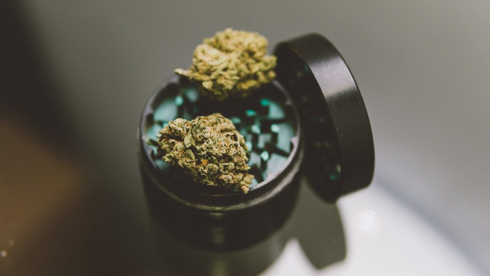 Buds of marijuana in the grinder close-up. 