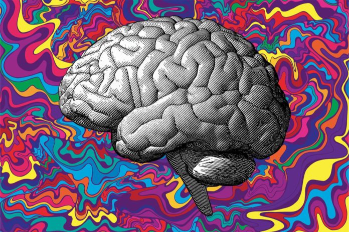 Psychedelics and Creativity