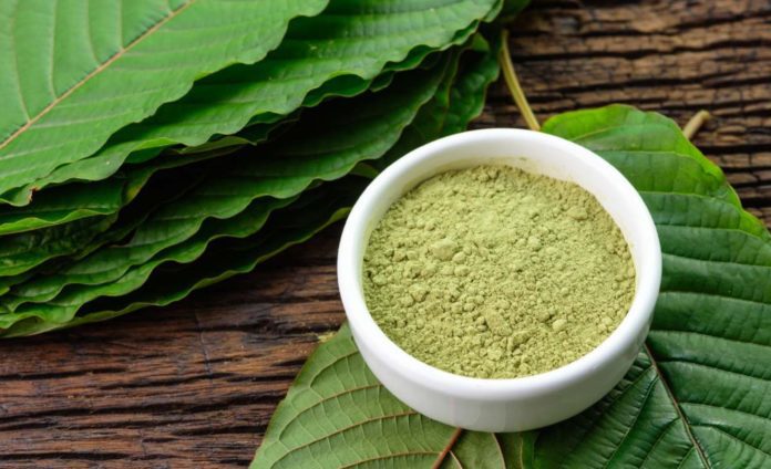 kratom leaves