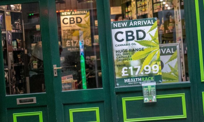 Top Reasons Why CBD is on The Rise