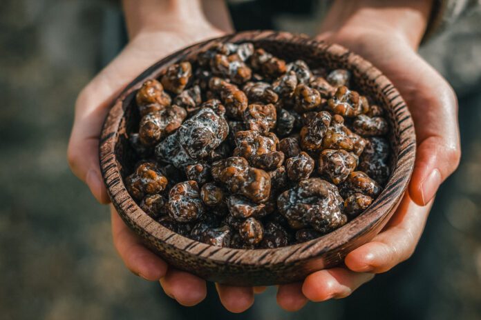 Truffes magiques 101: Ton guide essentiel