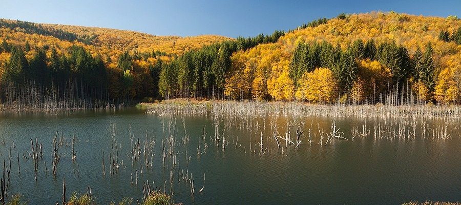 Top 10 Lakes in Romania You Should See