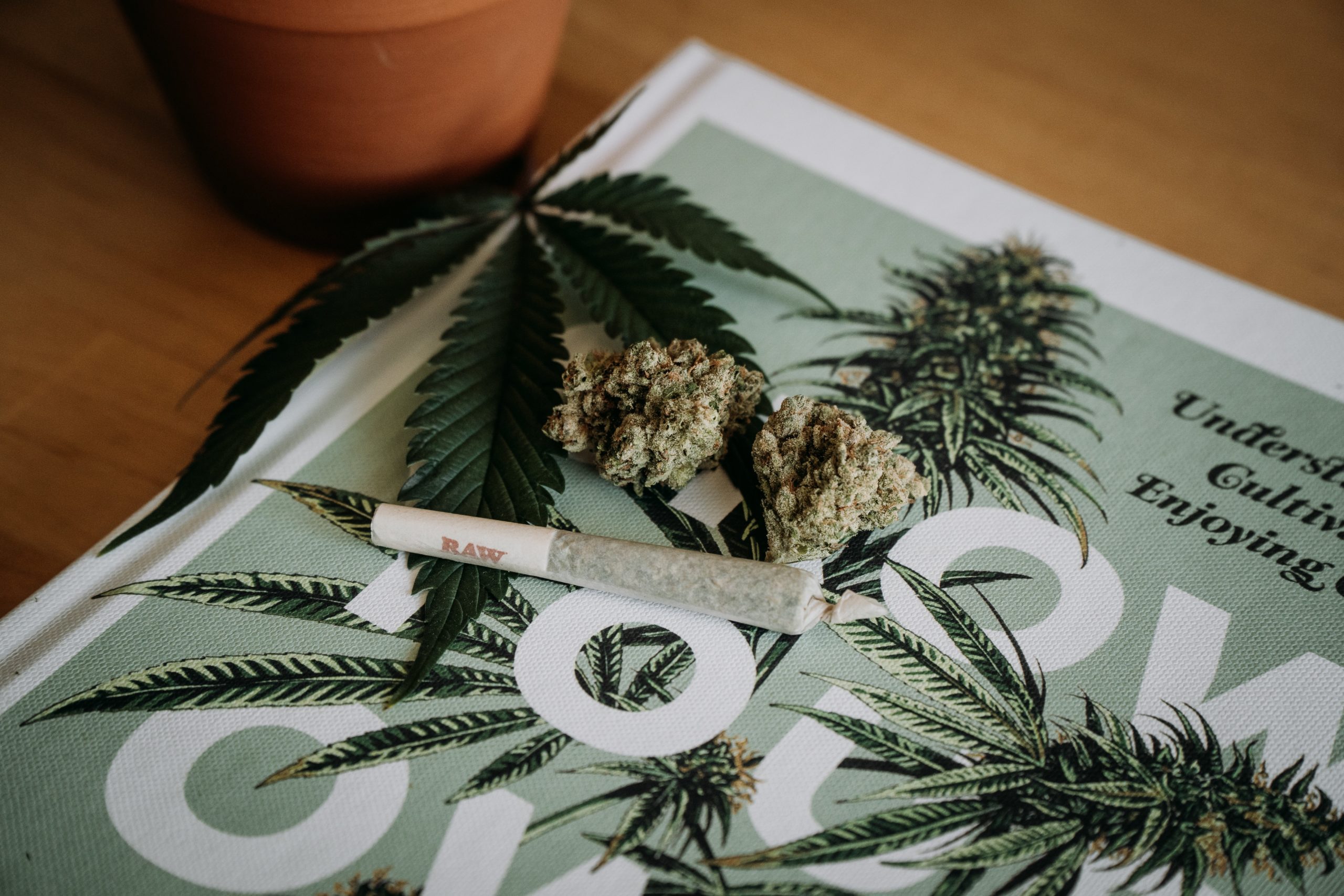 What Are The Benefits Of Legal Cannabis Around The World? - Sociedelic